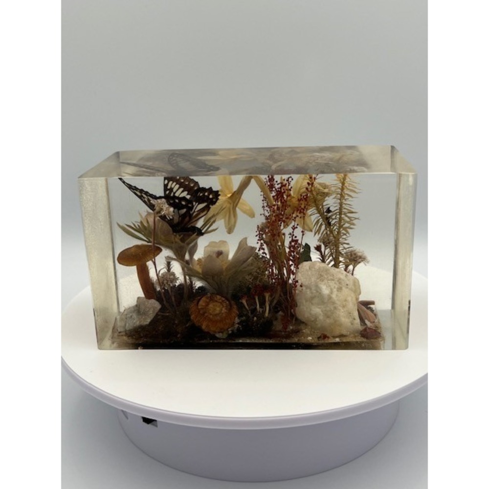 Vintage Resin Lucite Butterfly Mushroom Floral Specimen Paperweight Diorama